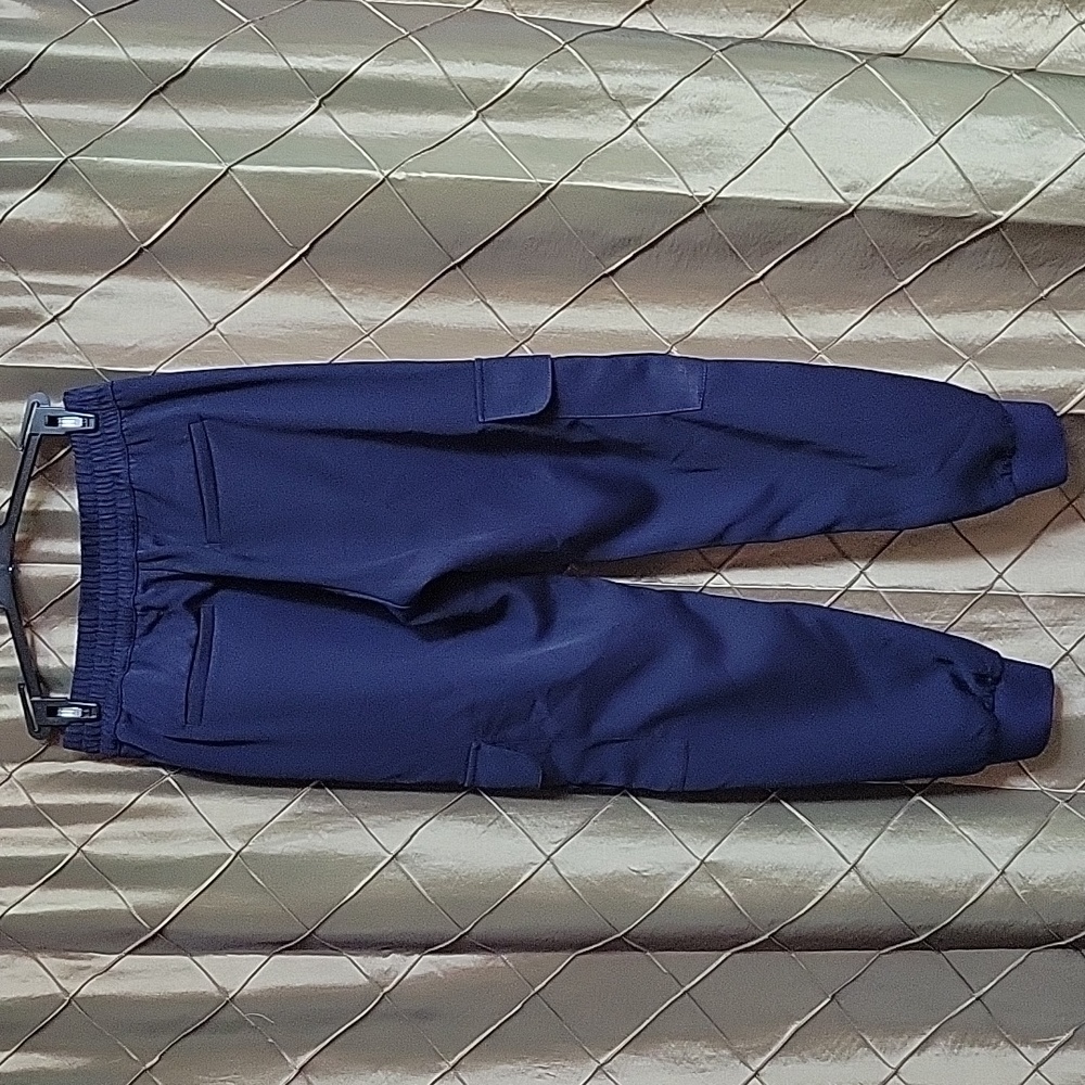 EUC- Banana Republic Pull-on Sateen Cargo Jogger - Picture 5 of 7